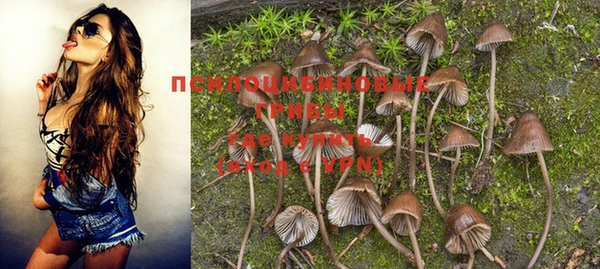 дурь Покров
