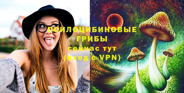 гидропоника Осинники