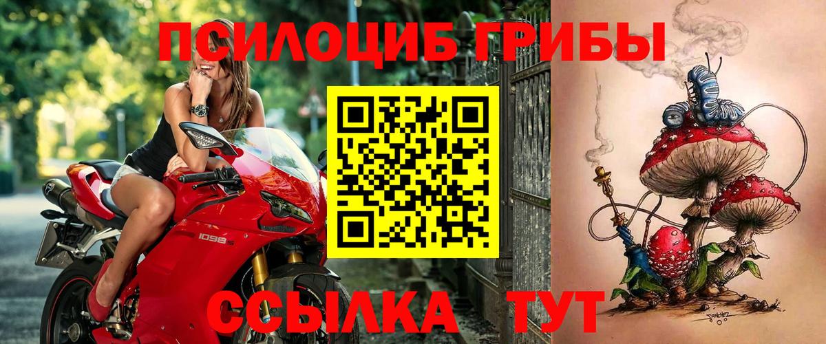 Галлюциногенные грибы GOLDEN TEACHER  Вход с VPN  Родники 