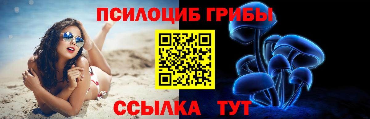 Псилоцибиновые грибы мицелий Родники